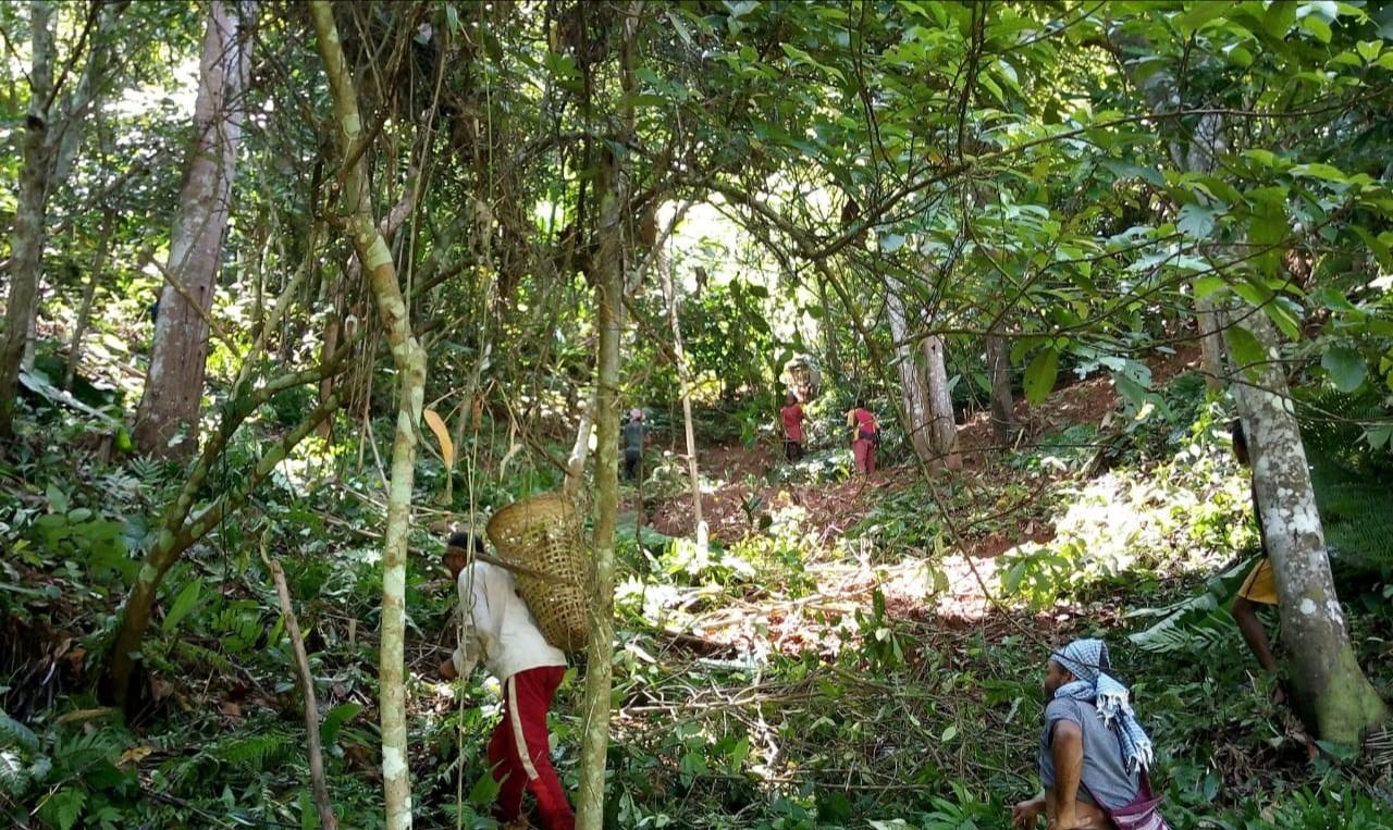 G:\VILLAGE REPORT PICTURES\UMSING BLOCK\Mawker\horticulture\IMG_20220915_214030_578.jpg